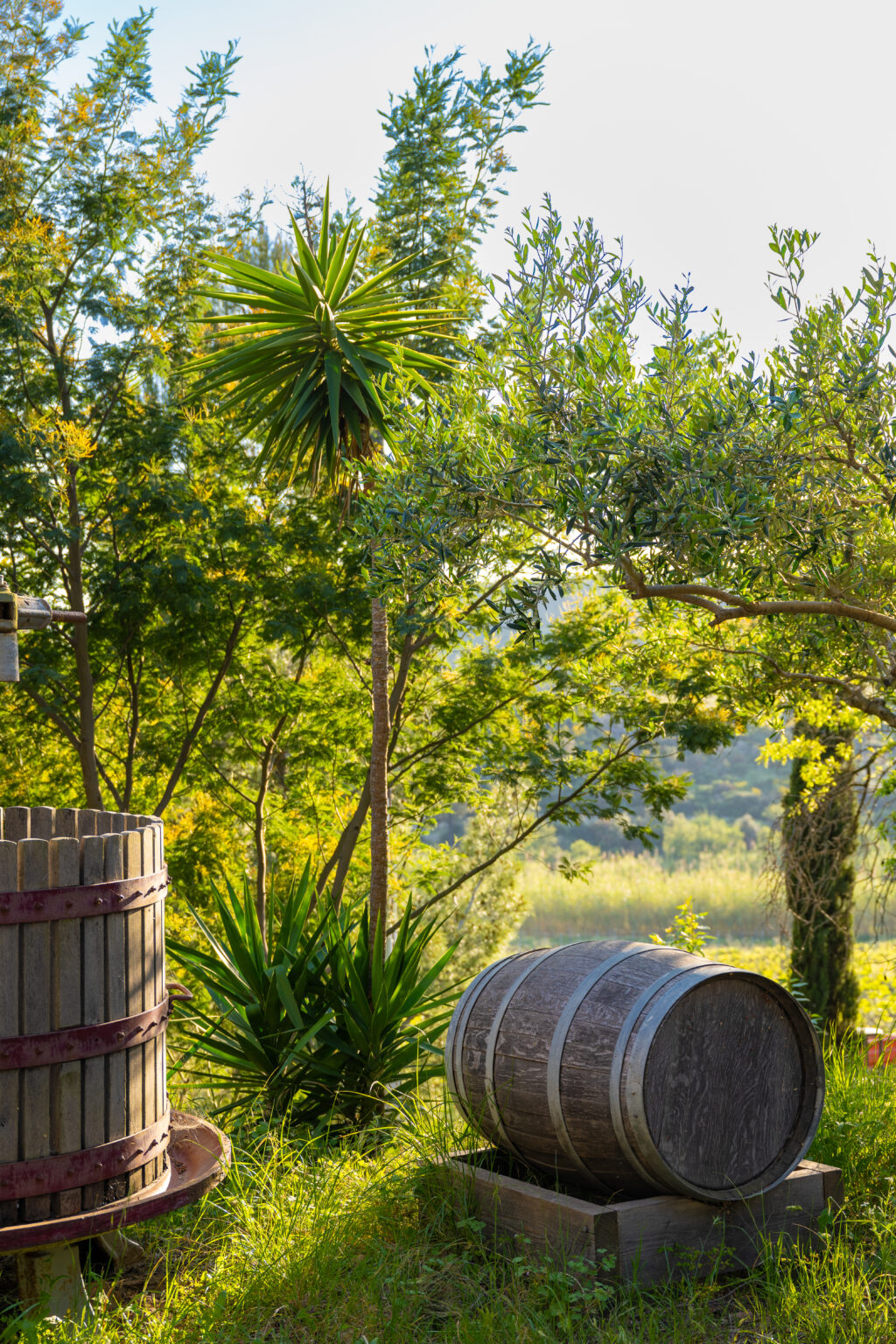 BIG-STPZ-2025-DOMAINE-LA-TOURRAQUE-EK-5